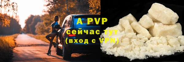 ешки Иннополис
