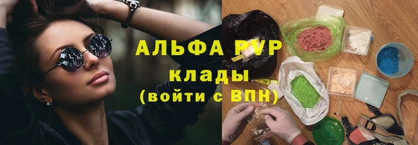 гашик Инсар
