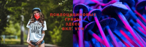 ешки Иннополис