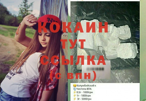 дурь Инта