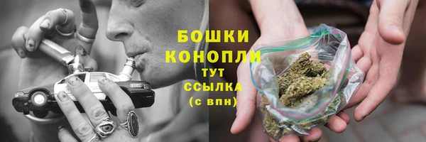 гашик Инсар