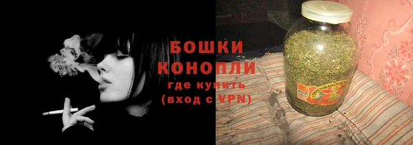 дурь Инта