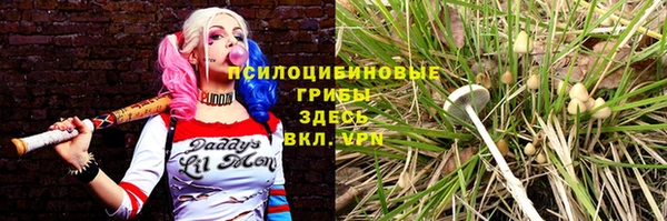 дурь Инта