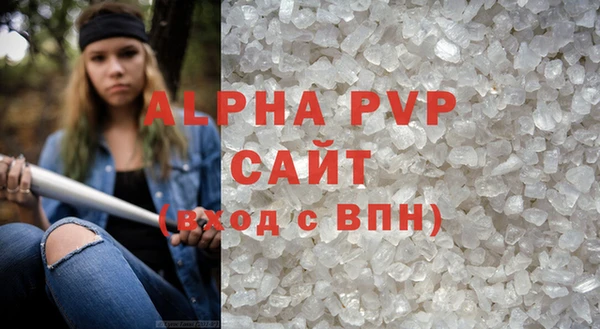гашик Инсар