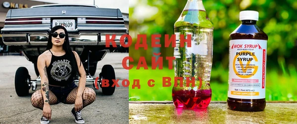 гашик Инсар