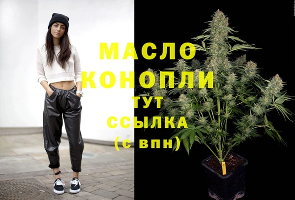 дурь Инта