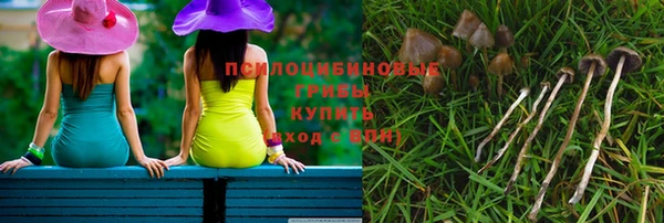 дурь Инта