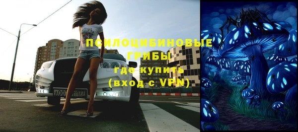 ешки Иннополис