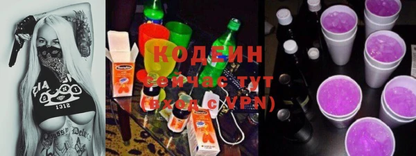 гашик Инсар