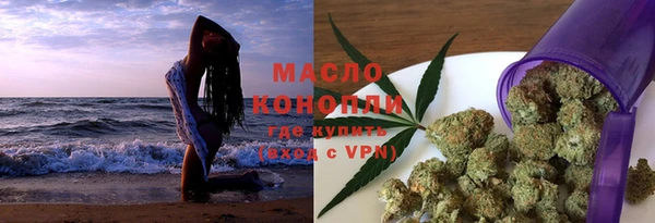 дурь Инта